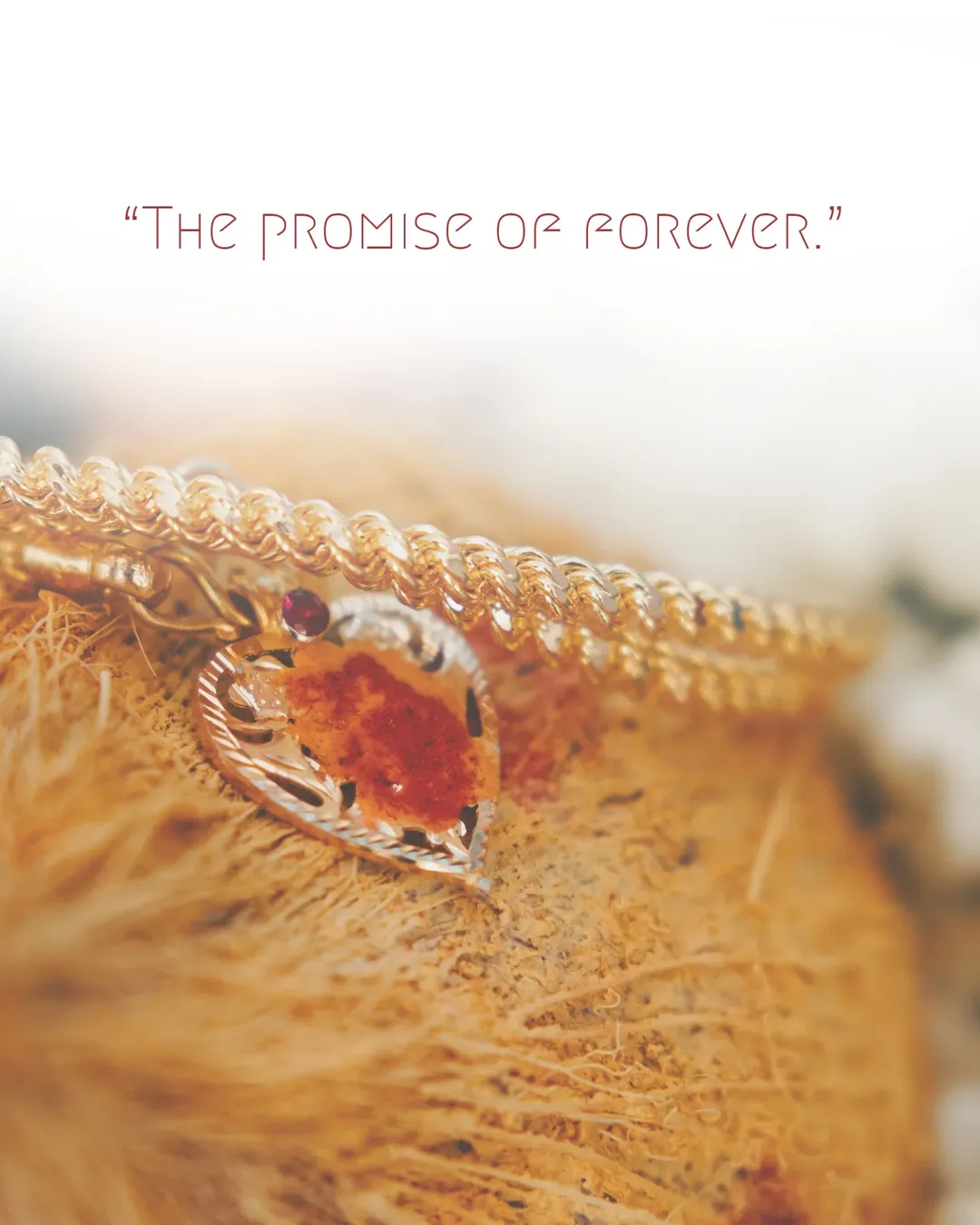 Smile Pic Photography — Portfolio Image 2